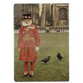 YEOMAN QUARTERMASTER, TOWER OF LONDON. unused p...