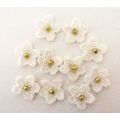 Flower appliques #F005 embellishments 10 pieces...