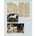 X535) Jack Edwards Carol Llandyn Hall Weston St...