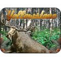 Yellowstone with Moose in Woods Fridge Magnet