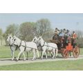 Royal Mail First Ever Coach Run 1984 Horse Norw...