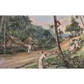 St Lucia Gathering Coconuts Cocoanuts Old Tucks...