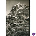 Switzerland Postcard - Grindelwald - Wetterhorn...