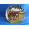 English Thoroughbred