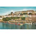 Standard size printed postcard of Brixham Devon