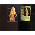 AUBRIE LEMON 2005 Benchwarmer #37 Very Hot Blon...