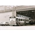 Black & White Photograph of Northampton Corpora...