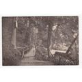 Rustic Bridge Pwllycrochan Woods Colwyn Bay Postcard Denbighshire Wales