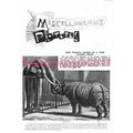 Rhino & Elephant Friends, Bk Illustration 1895,...