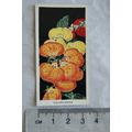 1936 Carreras Flowers No. 41 Calceolarias