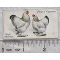 1931 John Player & Sons Poultry No. 5 Light Bra...