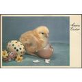 Happy Easter, c.1950s - Edition Stehli Postcard