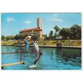 Postcard Dolphin Show, The Aquarium, Cesenatico...