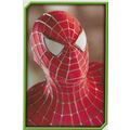 Merlin's Spider-Man (2002) Sticker Collection -...
