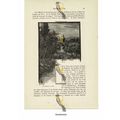 Cemetery At Nice, France, Book Illustration (Pr...