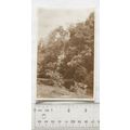 vintage postcard Dovedale