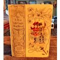 How A Dear Little Couple Went Aboard By Mary D....