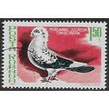 Mi 3780: 1 L. 50 multicoloured Pigeon