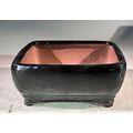 "Black Ceramic Bonsai Pot - Rectangle Professio...