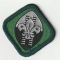 Scout Badge Swaziland - Hessian Back (BY136)