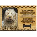 Labradoodle Engraved Wood Picture Frame Magnet