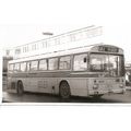 Black & White Photograph of London Country Bus ...