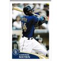 2012 Topps MLB Sticker Collection - #287 - Came...