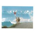 SWITZERLAND ..cow unused postcard vgc =
