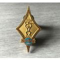 Hard Rock Cafe pin Maui 10th Anniversary Petrog...