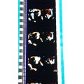 Sex Pistols The Filth & The Fury. Pk DAB - 017q...