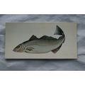 1978 Craven Black Cat Sport Fish card No. 35 Po...