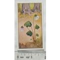 Vintage: Dutch card Jac. P. Thijsse, Lente No. ...