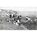 Bathing at West Hove - Sussex - Original Postca...