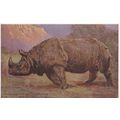 B498 INDIAN RHINOCEROUS ART POSTCARD BY EDGAR F...