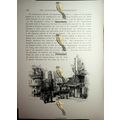 Street Corner, Alexandria, Egypt, Book Illustra...