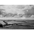 Berkshire Downs, Near Blewbury, Bucks, B & W Ph...
