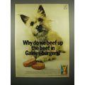 1966 Gaines-Burgers Dog Food Ad - Beef Up