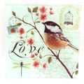 Black Capped Chickadee Bird Carte Postal Love G...