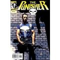 Punisher (2000 Ltd) # 011 NM MODERN AGE COMICS