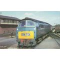 Class 52 Western Train D1095 Trerulefoot Railwa...