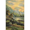 Dinas Lake, N Wales, Postcard, 1900s