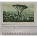 vintage postcard Napoli, Panorama