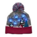 Multicolor LED Winter Christmas Holiday Penguin...