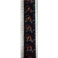 HE - MAN & MASTERS OF UNIVERSE. pk MTP - a017Q....