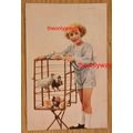 Belgian Girl And Her Pigeons, Belgian Postcard,...