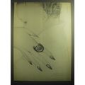 1959 Faberge Nail Polish Advertisement - A Faberge presentation