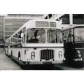 Black & White Photograph of United Counties Omn...