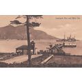 ED267 LAMLASH PIER AND HOLY ISLE. PRINTED POSTCARD