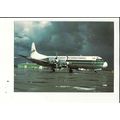 Aviation EVERGREEN INTERNATIONAL L-188C ELECTRA...