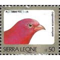 SIERRA LEONE, BIRD, Red-billed firefinch, Lagonastictica, brown 1994, 50Le